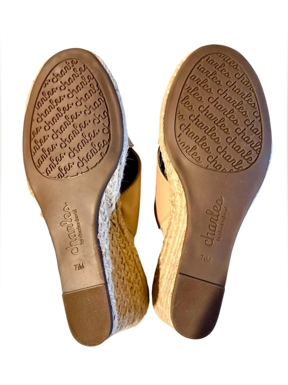 Charles By Charles David Women’s Notch Jute Wrapped Wedge Heel Sandals